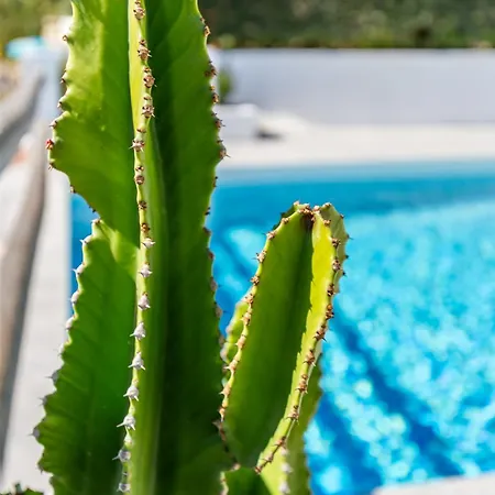 Soleste Javea * Platja de Larenal