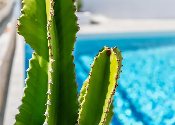 Soleste Javea * Platja de Larenal